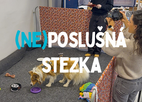 neposlusna stezka 2026